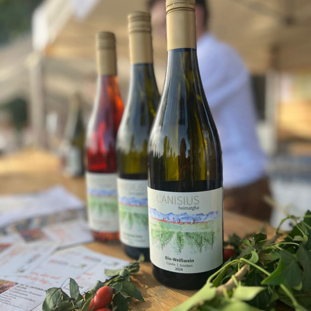 3 Flaschen Wein von Canisius
